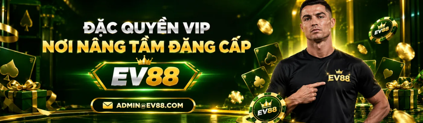 banner ev88